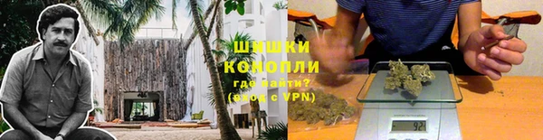 ГАЛЛЮЦИНОГЕННЫЕ ГРИБЫ Абинск