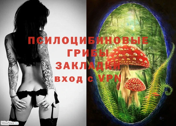 бутират Алексин