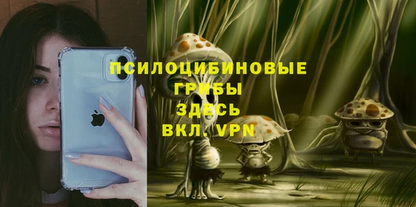бутират Алексин